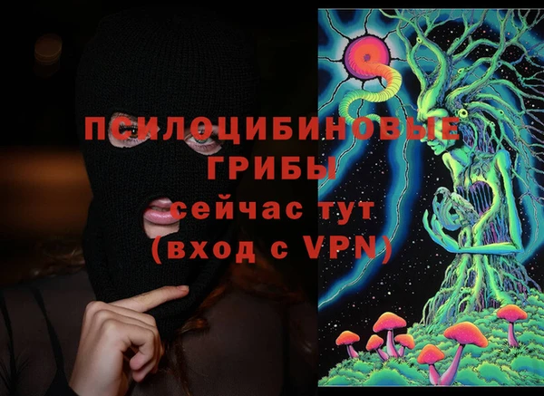 apvp Балахна