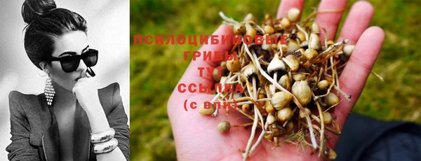 apvp Балахна